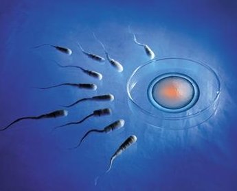 AMH低卵巢功能测定为60岁还能做试管吗