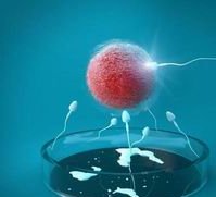 2026湖州不孕不育医院排名，附试管费用与成功率参考