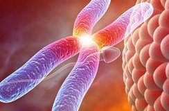 2026年北京三代试管婴儿医院有哪些？北京大学第三医院稳居第一！